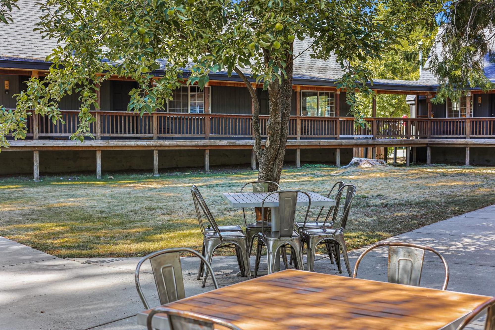 Shasta View Lodge McCloud Екстериор снимка